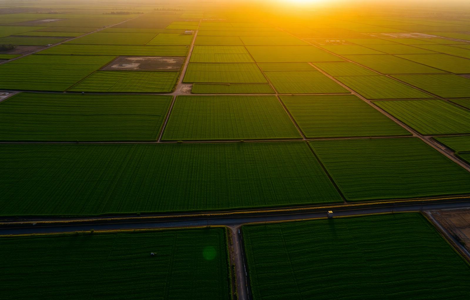 Aerial view of Gujarat farmlands